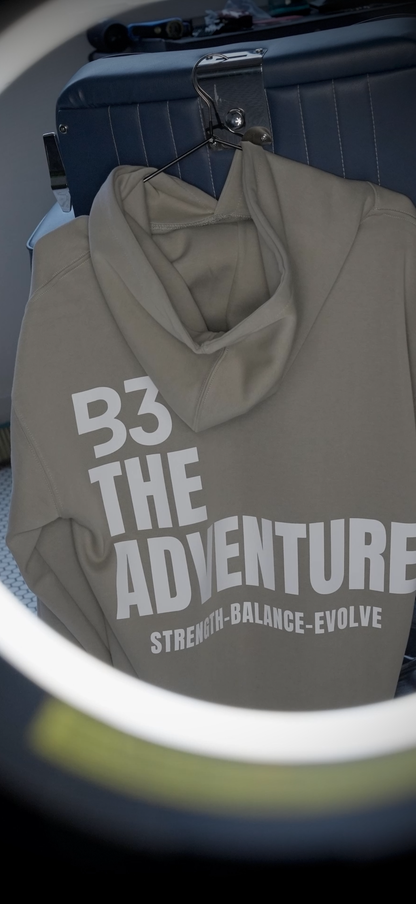 Men's Evolution Stone Hoodie